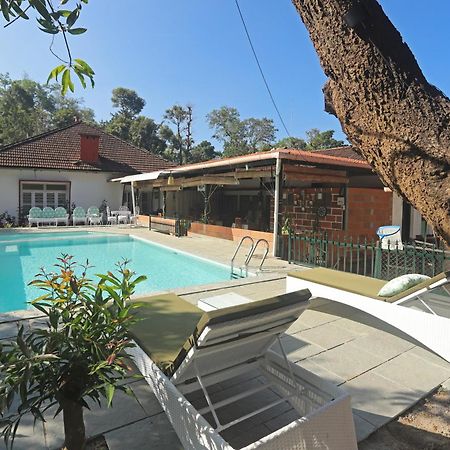 Devi Villa - Plantation Retreat And Forest Getaway Kutta المظهر الخارجي الصورة